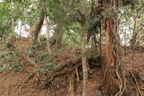 但馬 相応峰寺城の写真