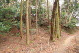 但馬 相応峰寺城の写真