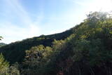 但馬 高巻城の写真