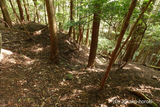 但馬 滝野城の写真