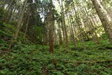 但馬 滝野城の写真