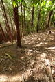 但馬 滝野城の写真