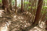 但馬 滝野城の写真
