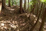 但馬 滝野城の写真