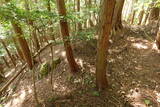 但馬 滝野城の写真