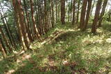 但馬 滝野城の写真