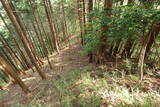 但馬 滝野城の写真