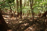 但馬 滝野城の写真
