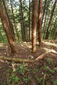 但馬 滝野城の写真
