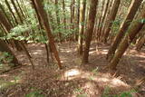 但馬 滝野城の写真