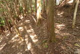 但馬 滝野城の写真