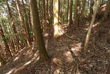 但馬 滝野城の写真