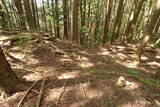 但馬 滝野城の写真