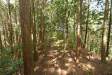 但馬 滝野城の写真