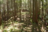 但馬 滝野城の写真