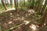 但馬 滝野城の写真