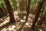 但馬 滝野城の写真