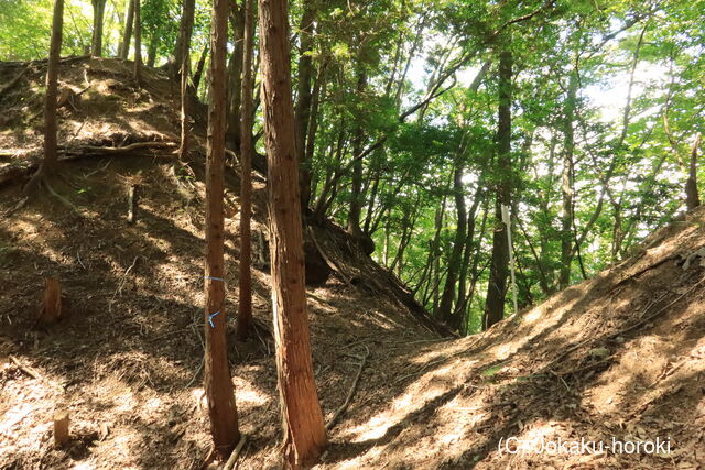 但馬 寺谷城の写真