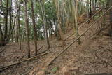 但馬 鳥居城の写真