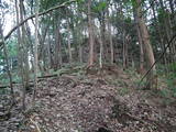 但馬 鶴城の写真