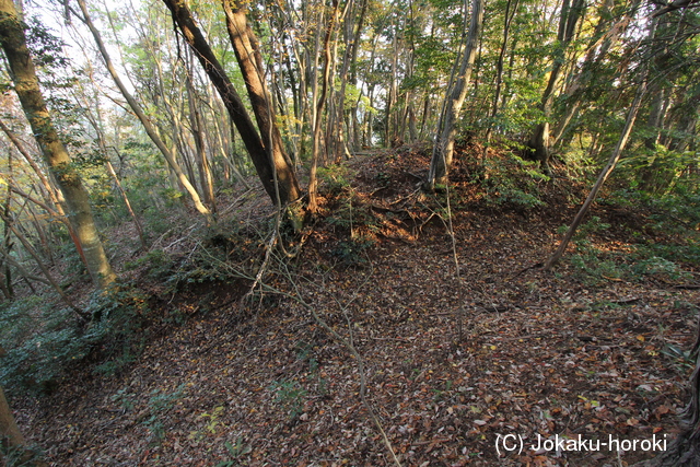但馬 上山城(上城)の写真