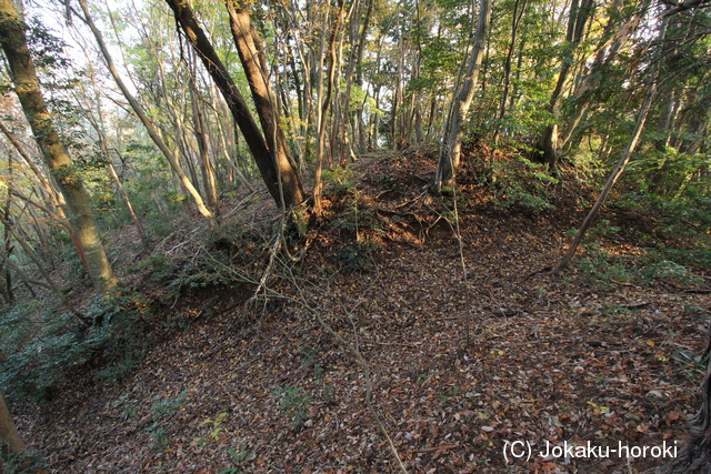 但馬 上山城(上城)の写真