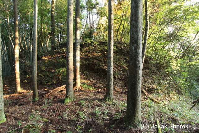 但馬 上山城(下城)の写真