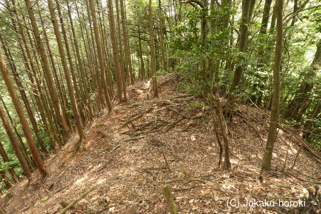 但馬 和田城(新温泉町)の写真