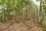 但馬 和田城(新温泉町)の写真
