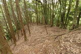但馬 和田城(新温泉町)の写真