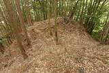 但馬 和田城(新温泉町)の写真