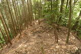 但馬 和田城(新温泉町)の写真