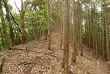 但馬 和田城(新温泉町)の写真