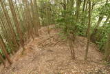 但馬 和田城(新温泉町)の写真