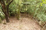 但馬 和田城(新温泉町)の写真
