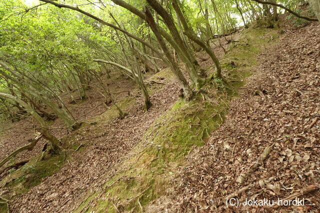 但馬 和田城(和田山町)の写真