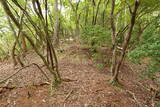 但馬 和田城(和田山町)の写真