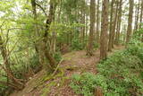 但馬 和田城(和田山町)の写真