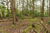 但馬 和田城(和田山町)の写真