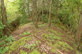 但馬 和田城(和田山町)の写真