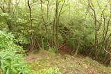 但馬 和田城(和田山町)の写真