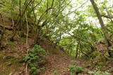 但馬 和田城(和田山町)の写真