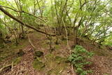 但馬 和田城(和田山町)の写真