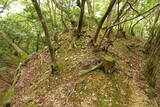 但馬 和田城(和田山町)の写真