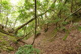 但馬 和田城(和田山町)の写真
