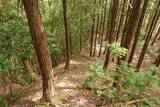 但馬 和田城(和田山町)の写真