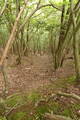 但馬 和田城(和田山町)の写真