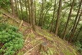 但馬 和田城(和田山町)の写真