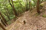 但馬 和田城(和田山町)の写真