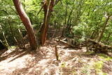 但馬 和田城(和田山町)の写真